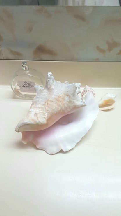 Heart of conch shell bracelet - Image 2